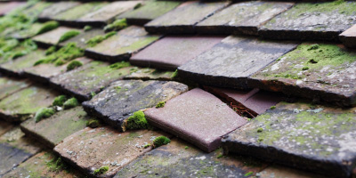 Ammanford roof repair costs